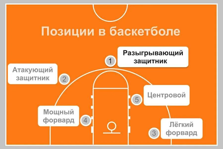 Амплуа защитника. Баскетбол. амплуа (позиции) игроков в баскетболе.. расстановка игроков на баскетбольной площадке. баскетбол расстановка игроков на поле. позиции амплуа игроков в баскетболе.