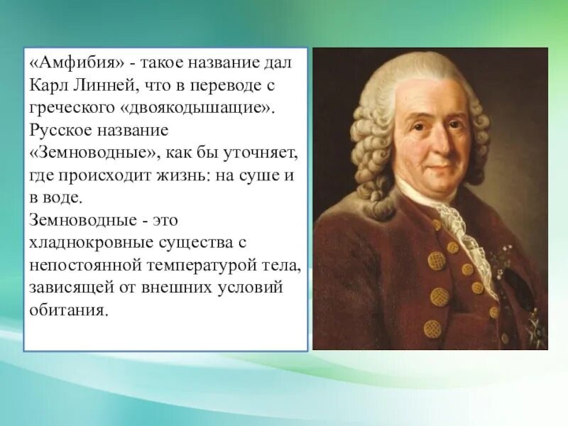 Линней выделял. Карл линней. карл линней сообщение по биологии. сообщение о линнее по биологии. карл линней земноводных.