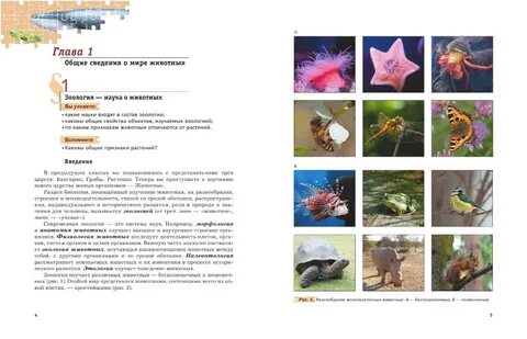 Биология 7 класс темы