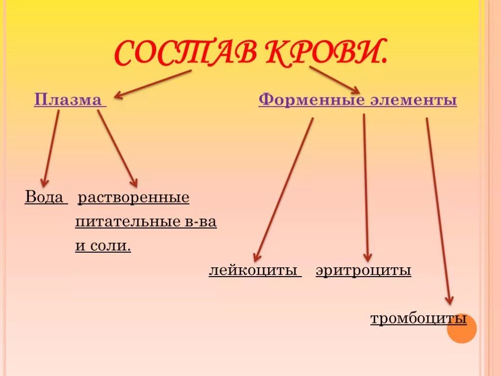 Состоит из плазмы и форменных элементов