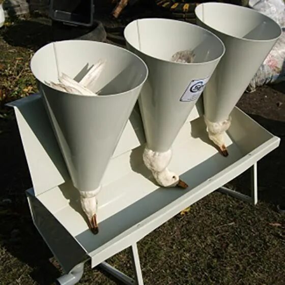 Meyn оборудование для убоя птицы. Стойка для убоя птицы "спрут-3л". Машина для убоя "спрут-110п";. Конус для убоя птицы. Шпарчан спрут 12 для птицы.