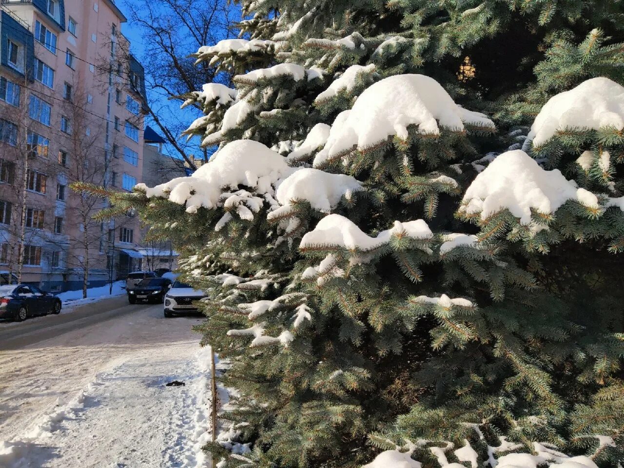 Росгидрометцентр калуга на неделю. Климат Калуги. С последним днем января. Природа 31 января на Украине. Фото погоды в январе.