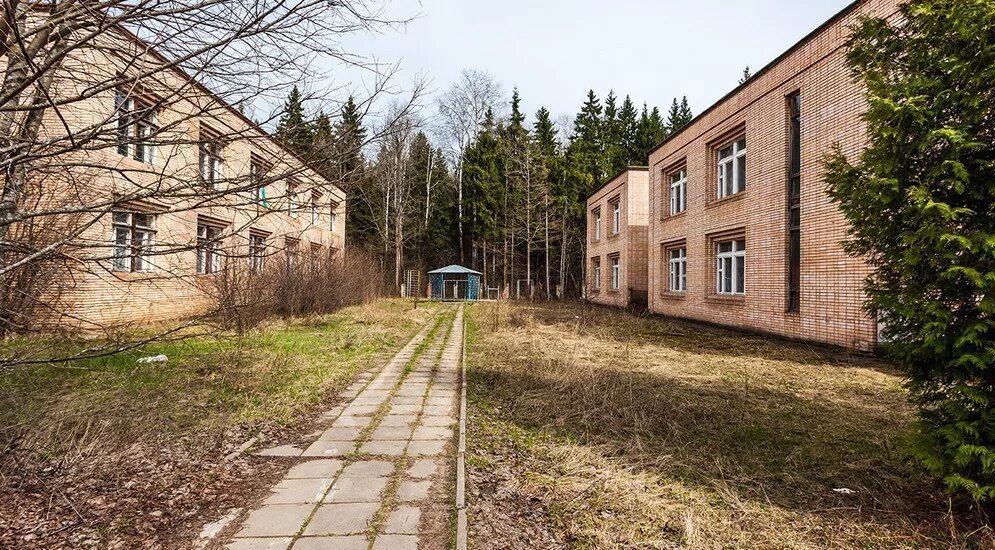 Лагерь чайка московская область заброшенный. Языковой лагерь в подмосковье осенняя смена. Пионерский лагерь березки цкб алмаз. Лагерь подмосковье 2024. Лагерь лесной городок подмосковье.