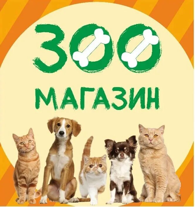 рекламный баннер зоомагазина. зоомагазин читать. Littlest pet shop 2012. зоомагазин животные. реклама зоомагазина.