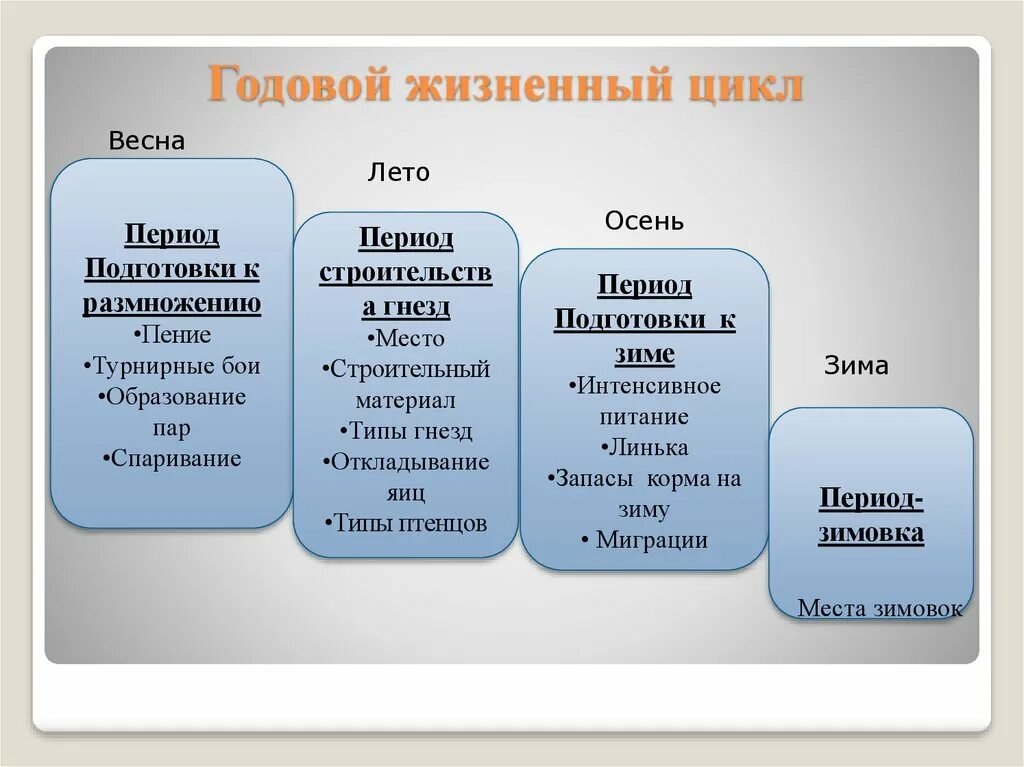 Таблица по биологии сезонные изменения. Годовой жизненный цикл птиц схема. Схема годового цикла млекопитающих. Годовой жизненный цикл птиц таблица по биологии 7 класс. Годовой жизненный цикл и сезонные явления в жизни птиц.