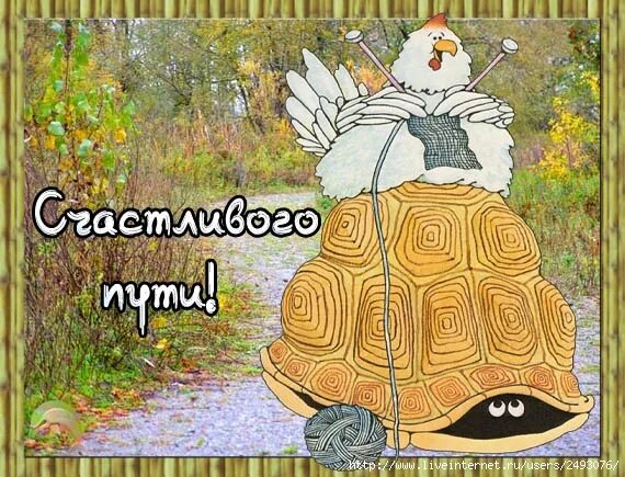 Ждем приезда. Ждем приезда