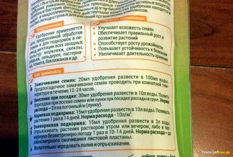 Можно поливать рассаду биогумусом