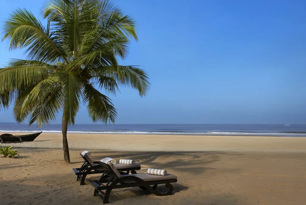 Гоа из москвы 2025. Гоа красивая реклама 2011. goa (the rough guide to goa).