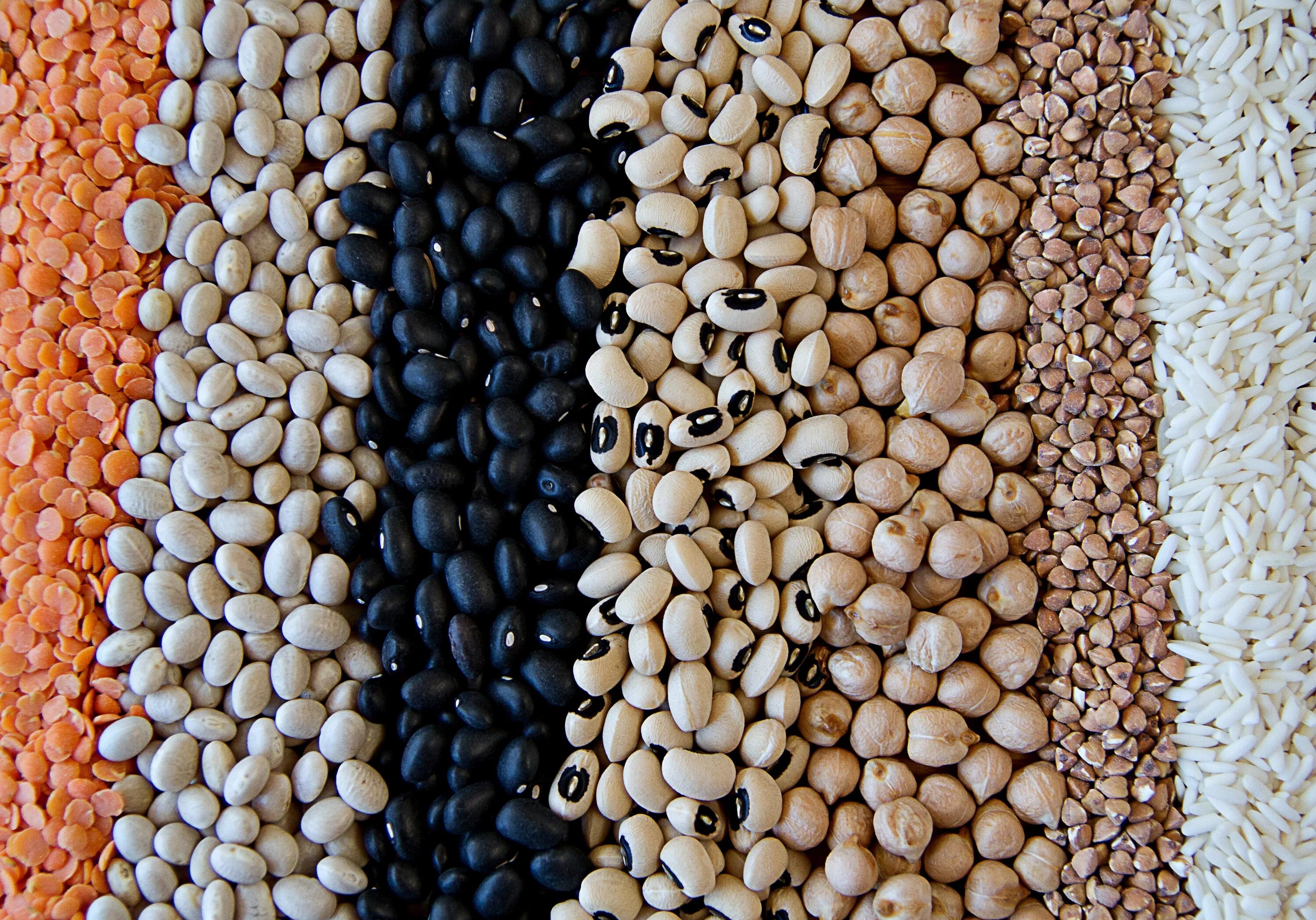 Бобовые крупы. Бобовые. Бобовые и злаки. Бобовые продукты. Крупа бобовая.