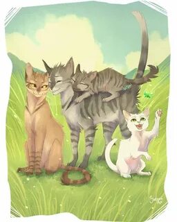Коты племени ветра