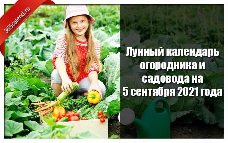 Садовод 2025 год. День садовода и огородника. открытки для садоводов и огородников. с днем огородника дачника. день садовода и огородника открытки.