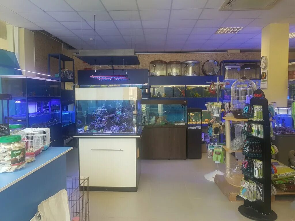 зоомагазин сочи с животными. зоомир сочи. зоомагазин сочи адлер. зоомагазин адлер новый век. зоомагазин адлер.