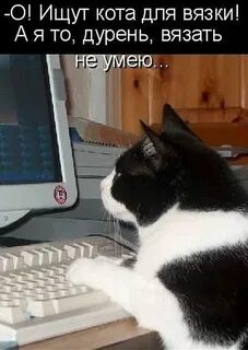 Пока пароль