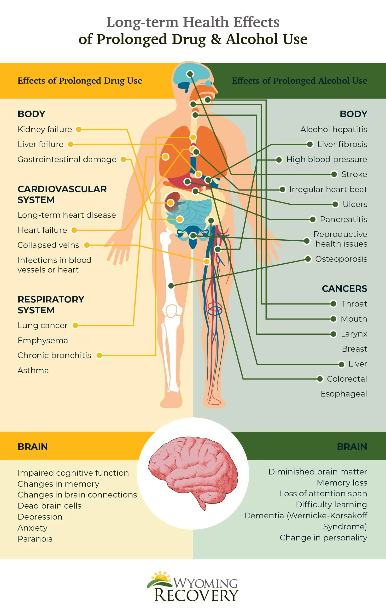 Health Effect. Drugs and Health. Prolonged Labour drugs. Effect terms