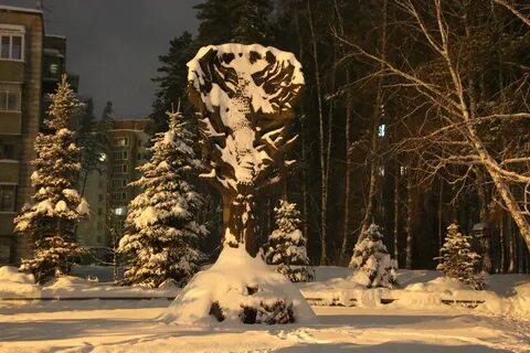 Академгородок кольцово
