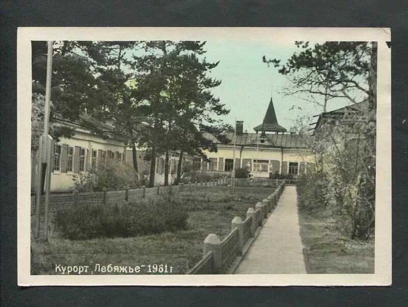 Погода в лебяжье алтайский край егорьевский. Курорт Лебяжье Алтайский край. Курорт Лебяжье Егорьевского района Алтайского края. Санаторий Лебяжье Алтайский. Курорт Лебяжье Егорьевского района.