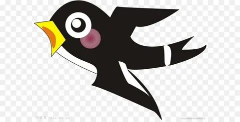 Black swallow