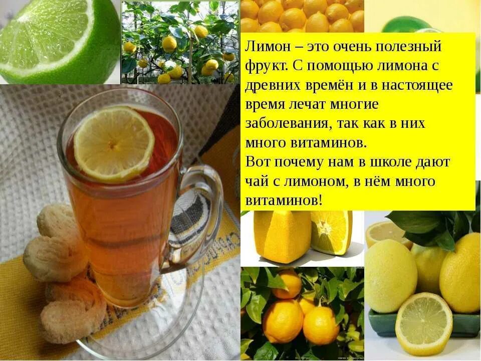Лимонная вода польза в чем. Чем полезен лимон. Польза лимона. Полезные свойства лимона. Чем полезен лимон для организма.