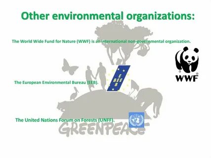 The environment organization is