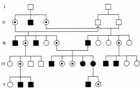 схема наследования хромосомных заболеваний. наследование 2024. генеалогическое древо мужское бесплодие. наследование 2024. задачи по генетике с типом наследования.