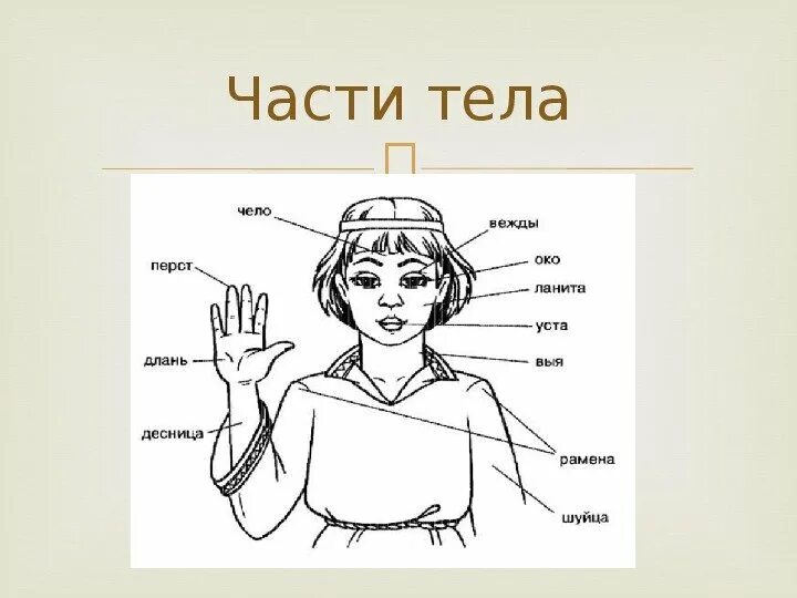 Дети устаревшее слово. Дети устаревшее слово. Дети устаревшее слово. Устаревшие слова картинки. Устаревшие слова в русском.