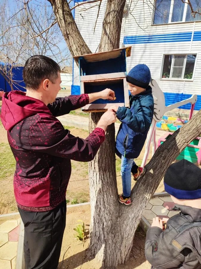 Приюты в воскресенске. Приют для бездомных животных. Приюты в воскресенске. Приюты в воскресенске. Приют наро-фоминск для собак.