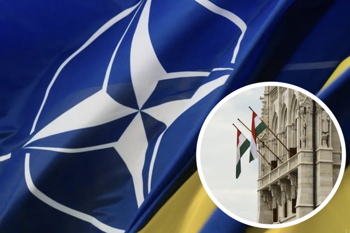 Альянс стран на украине. Венгрия НАТО. США Венгрия НАТО. Киберцентр НАТО. Венгрия заблокировала.