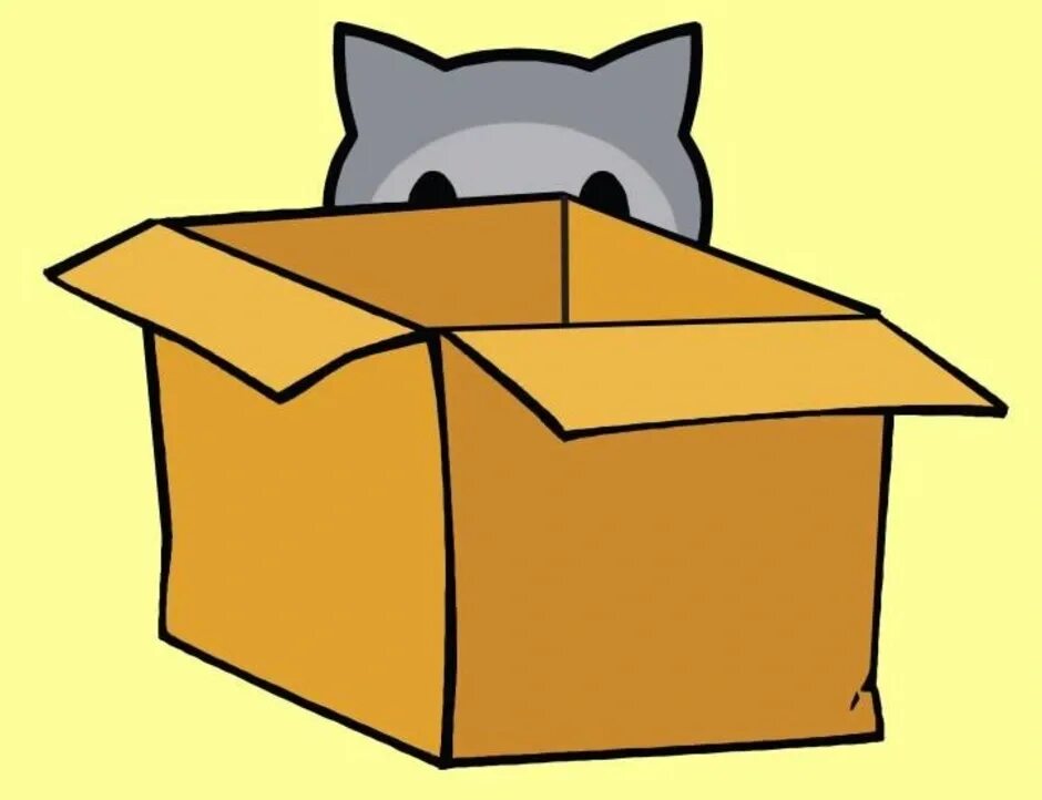 Where are the box boxes