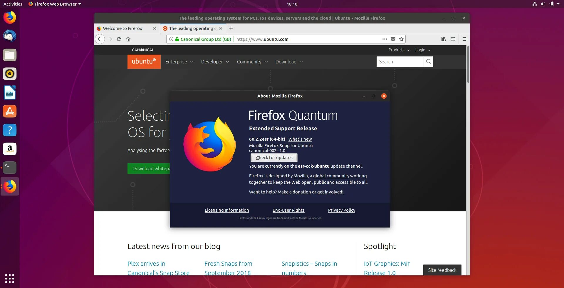 Веб браузер linux. Firefox esr. firefox linux. браузер firefox в ubuntu. mozilla firefox для linux.