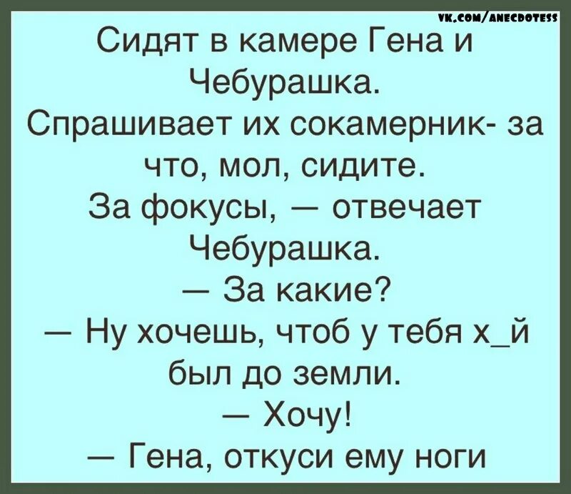 Анекдот купец в чем прикол. Анекдот про Гену. Анекдоты про Чебурашку и Гену. Шутки про Чебурашку и Гену. Анекдоты про Чебурашку.