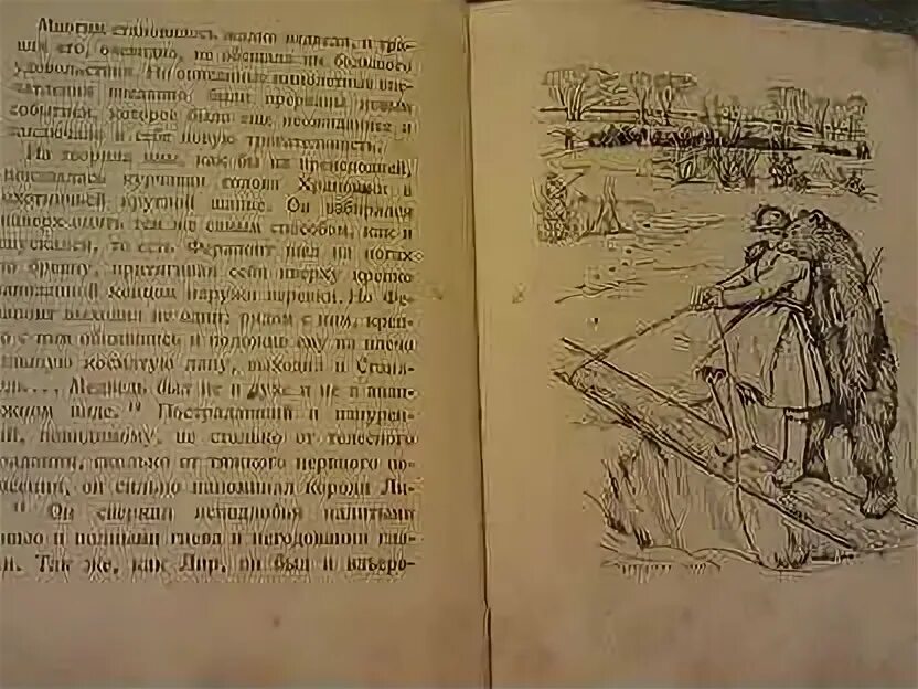 Лесков зверь краткое. Лесков зверь иллюстрации. Рассказ зверь Лескова. Лесков зверь краткое содержание. Иллюстрации к рассказу Лескова зверь.