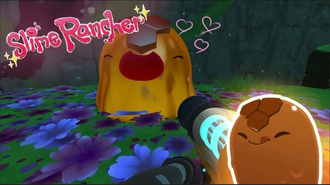 Город слаймов. СЛАЙМ ранчер 2 гордо. СЛАЙМ ранчер медовый СЛАЙМ. Slime Rancher игра медовый. Гордо из СЛАЙМ ранчер.