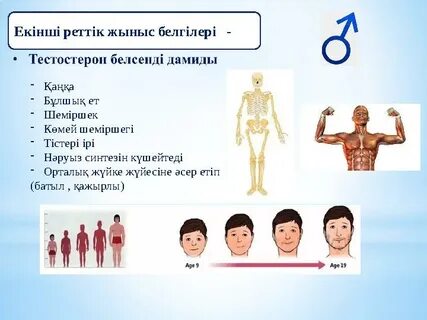 Пернетақтадағы жыныстық белгілер