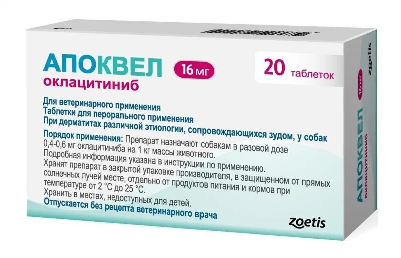 Что давать собаке от аллергии и зуда