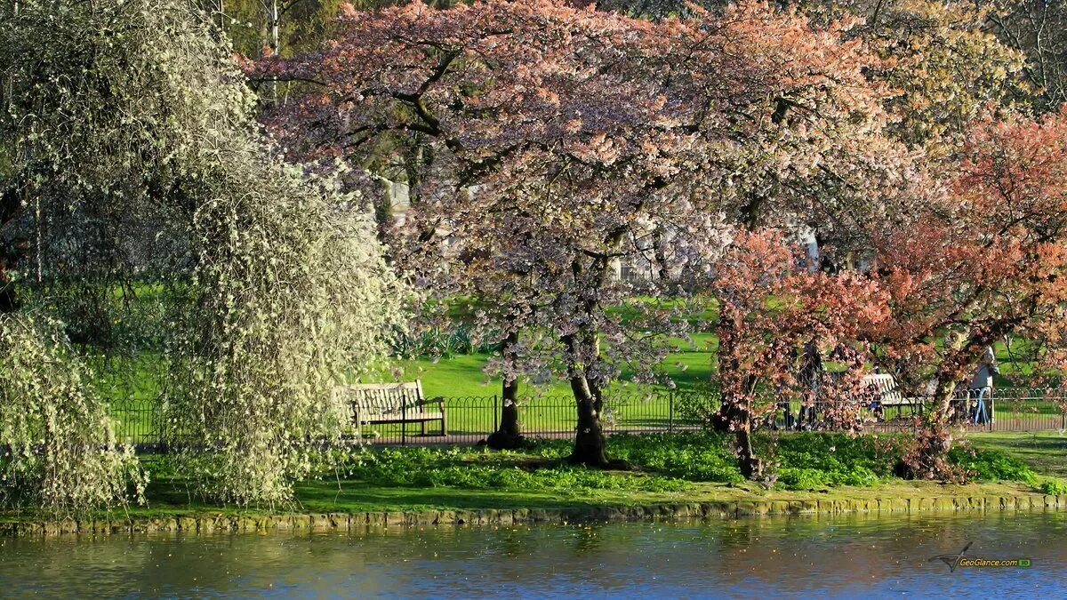 Spring scenes