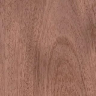 Сапеле дерево
