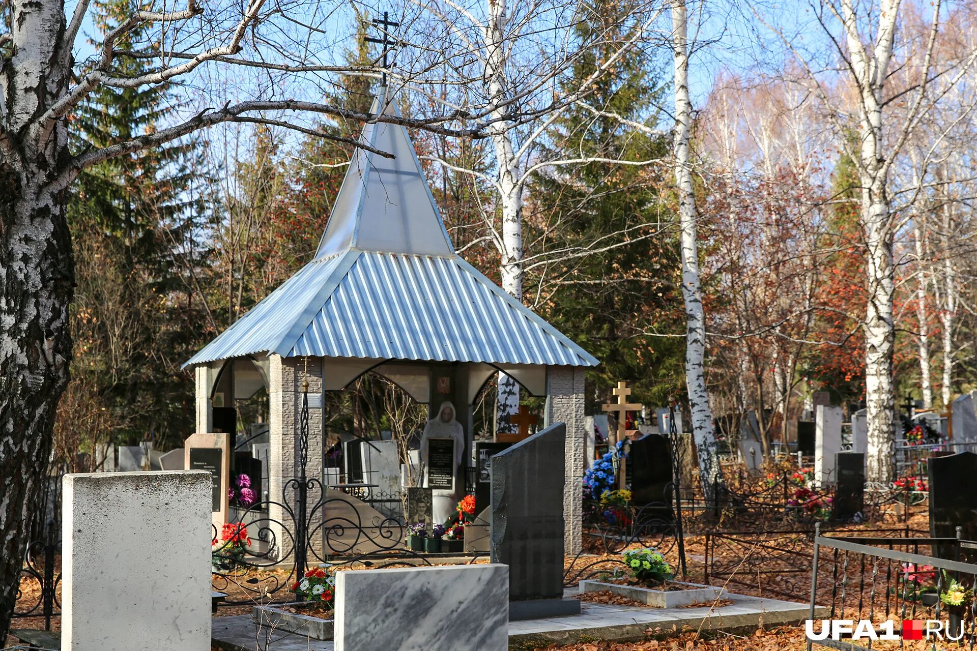 Кладбище. Кладбище. Могилы детей. Тимашево северное кладбище кладбище 2. Деревья на кладбище.
