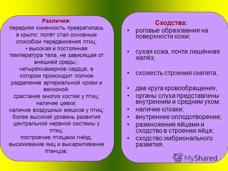 Сходство и различие птиц. Птицы и рептилии сходства и различия. Сходства и отличия птиц и пресмыкающихся. Сходства и различия млекопитающих и птиц. Сходство птиц и млекопитающих.