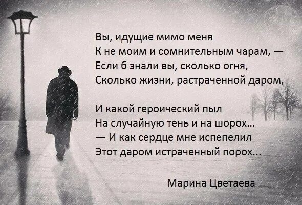 Мудрые мысли о счастье. Мимо строк. Музыканты вднх. Стихи со смыслом известных поэтов. Вдруг из под собаки лают ворота.