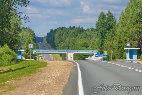 Тер автодорога