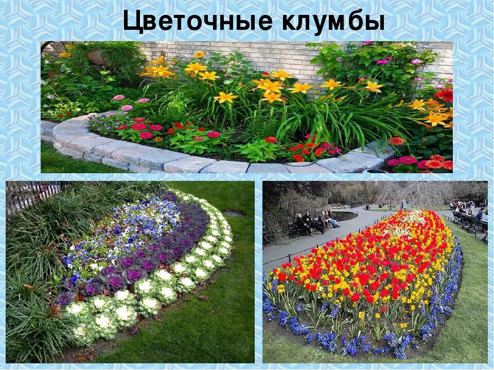 Цветники значение