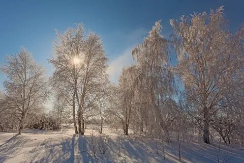 Снег в полдень