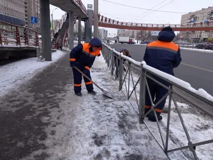 Новости санкт петербурга и ленинградской