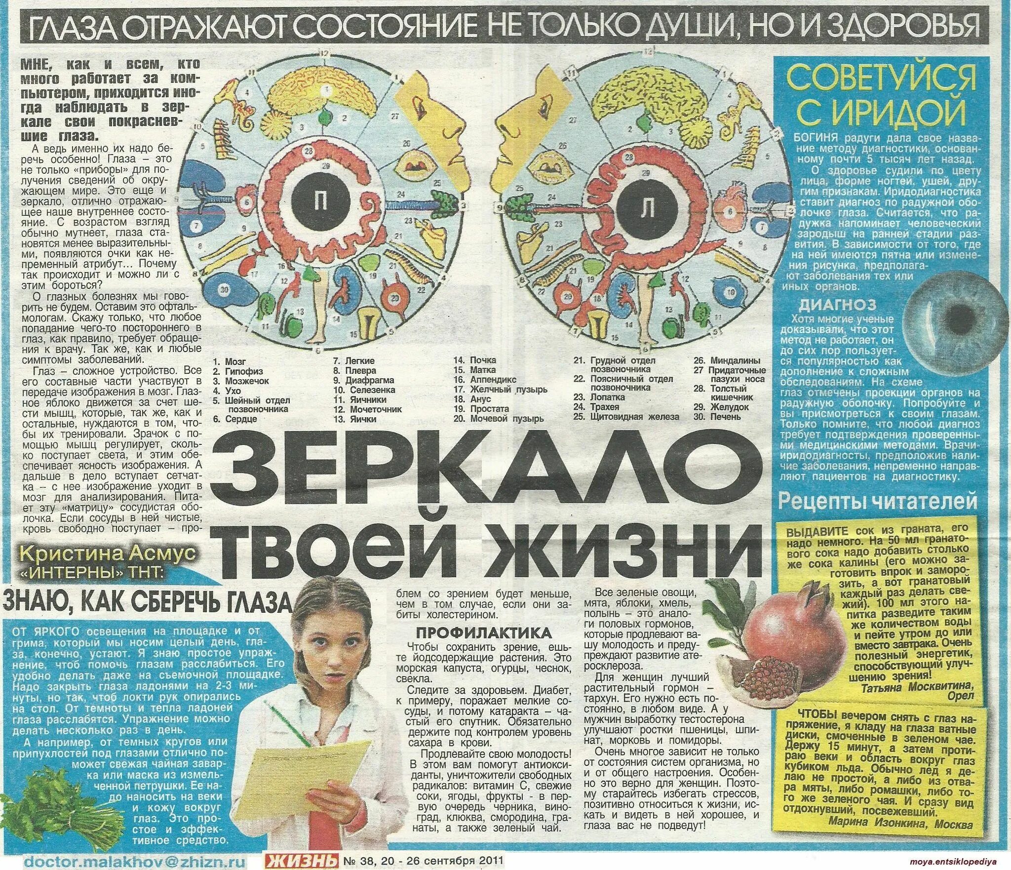 Наука и жизнь 9