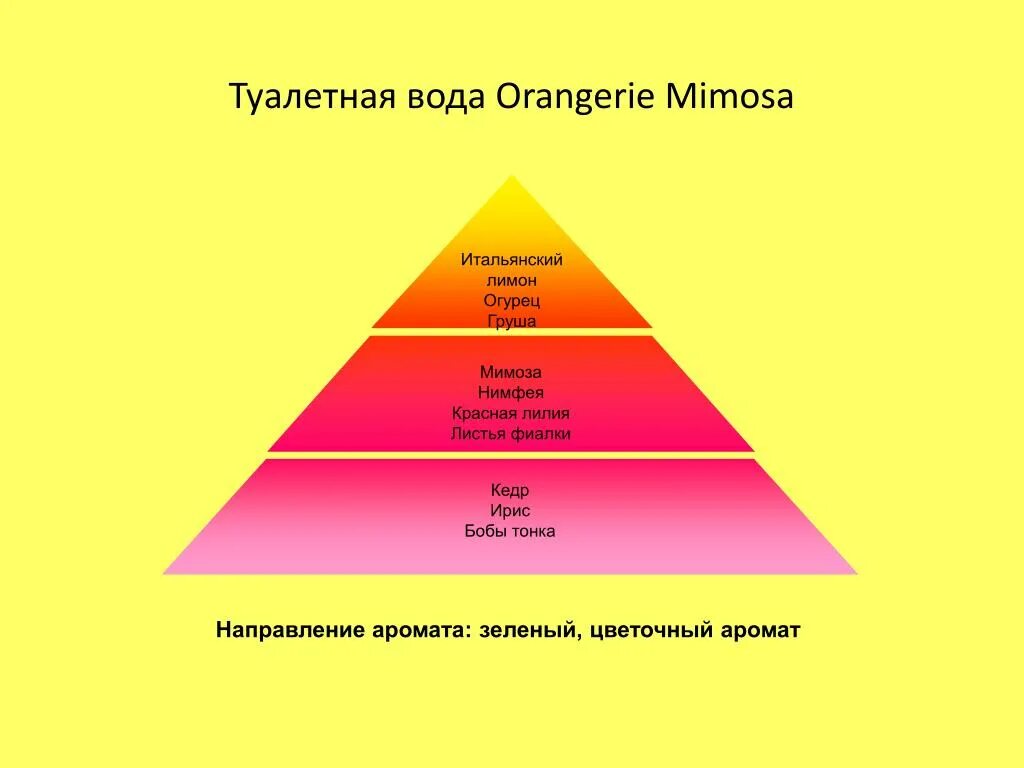 Пирамида туалетной воды. Ольфакторная пирамида запахов. Пирамида парфюма. Туалетная вода пирамида. Пирамидка ароматов.