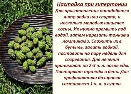 Настойка инсульт