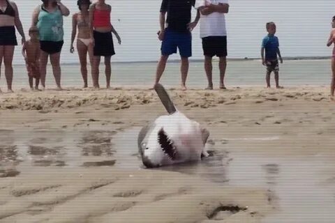 Видео атаки на пляж