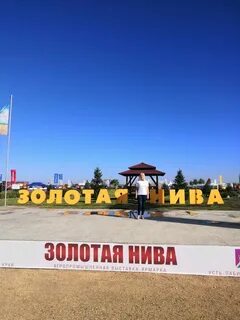 Аренда золотая нива