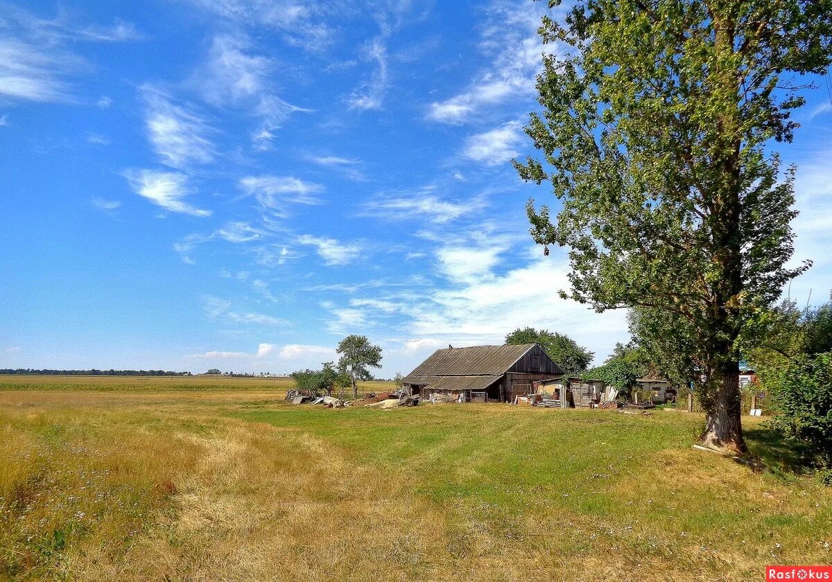 Просторы села. Просторы россии. Просторе деревня. Просторы рязанской области. Родные просторы деревня.