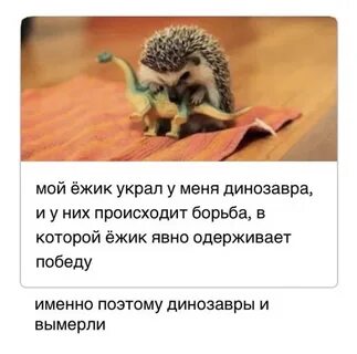 Ежик от страха пытается
